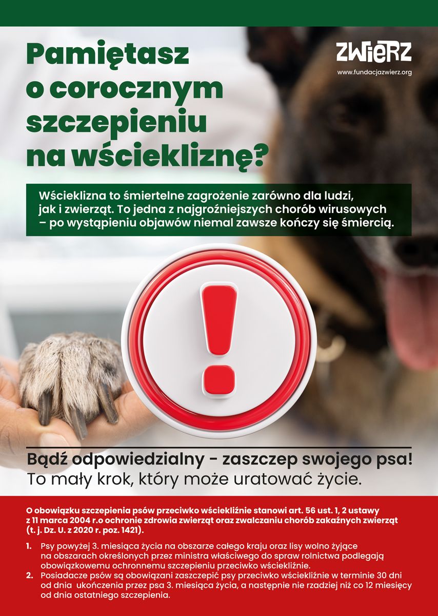Fundacja Zwierz przypomina o corocznym szczepieniu psów na wściekliznęcznym 